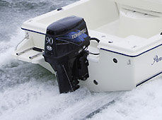 Tohatsu 90 л.с. tldi